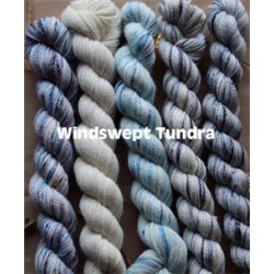 KPPPM PAINT CAN 5x25g - Windswept Tundra